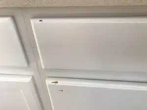 Charleston WV Cabinet Painting